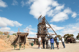 Accommodation & Tours