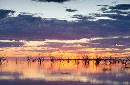 Regional Information