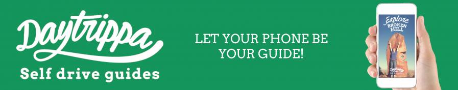 daytrippa banner 2 jpg.jpg